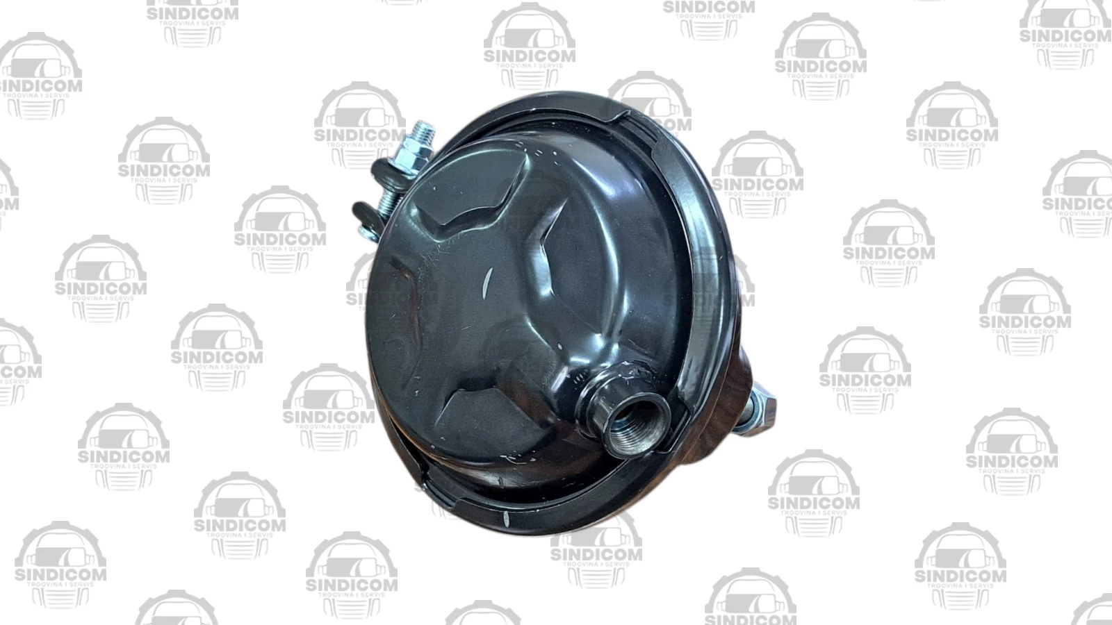 MEMBRANSKI CILINDAR TIP 24 DISK M22x1,5 +KONTROLNI MAN TGS WABCO ZAMJ. - Slika 2